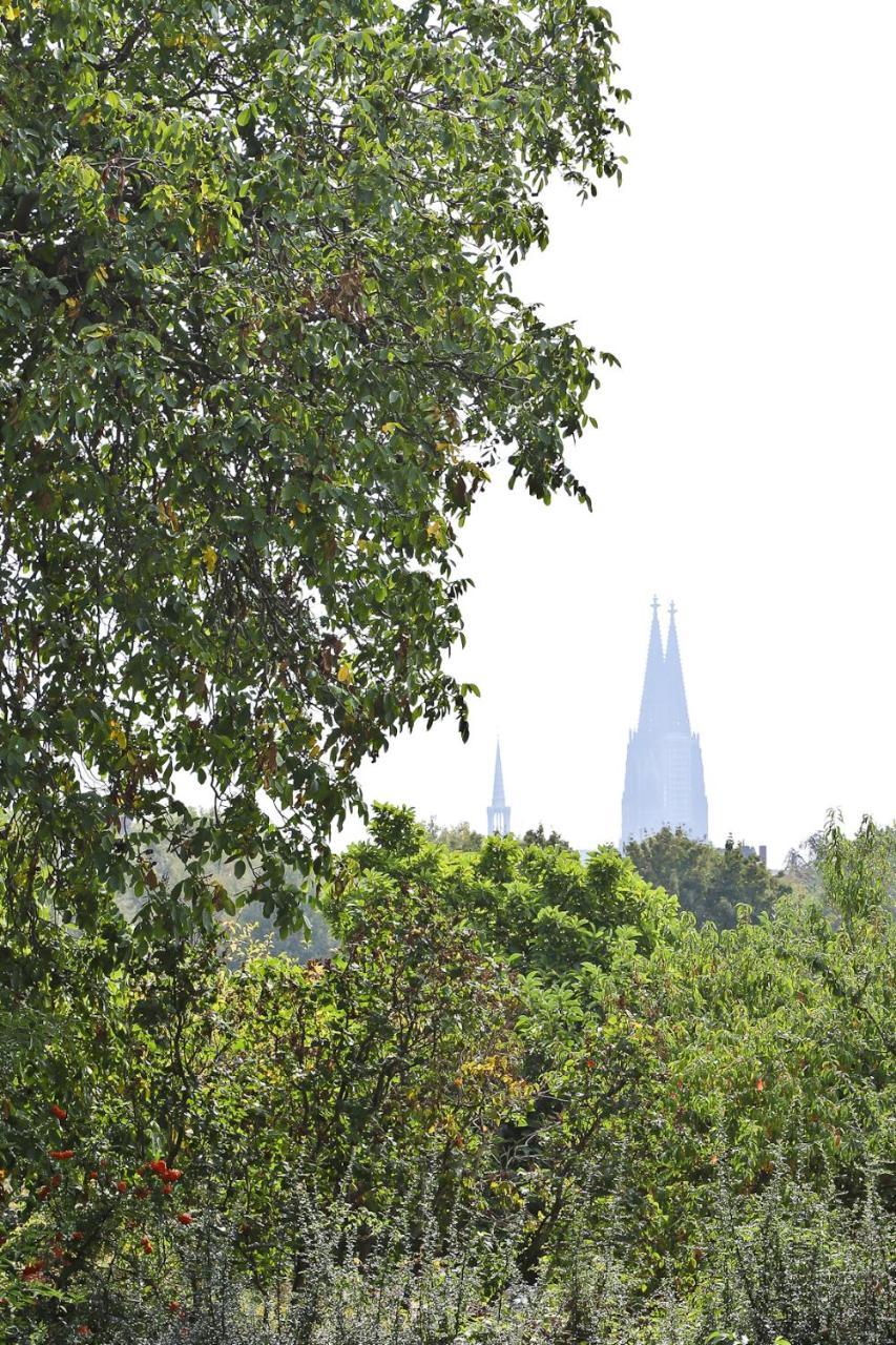 Top Apartments In Zentraler Lage Kolín nad Rýnem Exteriér fotografie